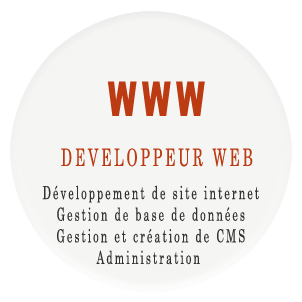 Développeur Web - Développement de site Internet - Gestion base de données - Gestion et Création de CMS - Administration