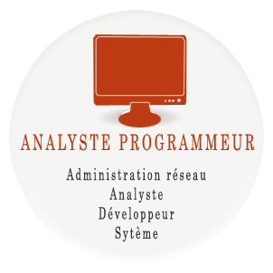 Analyste Programmeur - Administration réseau - Développeur - Analyste - Système